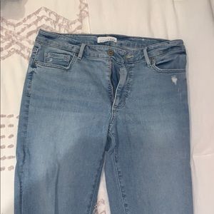 Loft Curvy Jeans